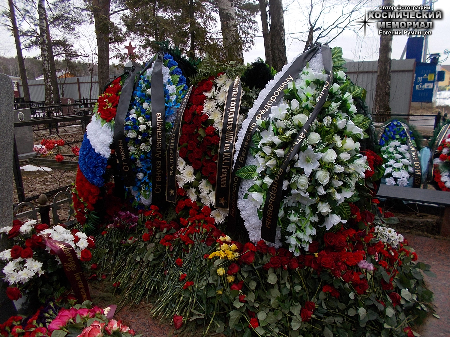 Валерий Быковский могила