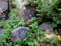 (увеличить фото) г. Москва, Новодевичье кладбище, могила В.В. Парина (лето 2008 года)