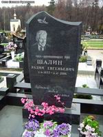 (увеличить фото) г. Москва, Троекуровское кладбище, могила Р.Е. Шалина (ноябрь 2008 года)