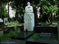 (увеличить фото) г. Москва, Новодевичье кладбище, могила О.Ю. Шмидта (август 2009 года)