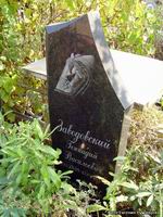 (увеличить фото) Московская область, Ленинский район, кладбище "Ракитки", могила Г.В. Заводовского (октябрь 2008 года)