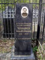 (увеличить фото) г. Москва, Ваганьковское кладбище (уч. № 19), могила Н.Г. Чернышёва (вид 1, май 2010 года)