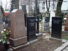 (увеличить фото) г. Москва, Новодевичье кладбище (уч. № 3, ряд № 45, место № 13), семейное захоронение Стечкиных, а также А.А. Веденова (декабрь 2008 года)