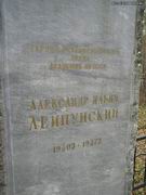 (увеличить фото) Калужская область, г. Обнинск, кладбище "Кончаловские горы", могила А.И. Лейпунского (фото Евгении Долгих, вид 2, октябрь 2010 года)