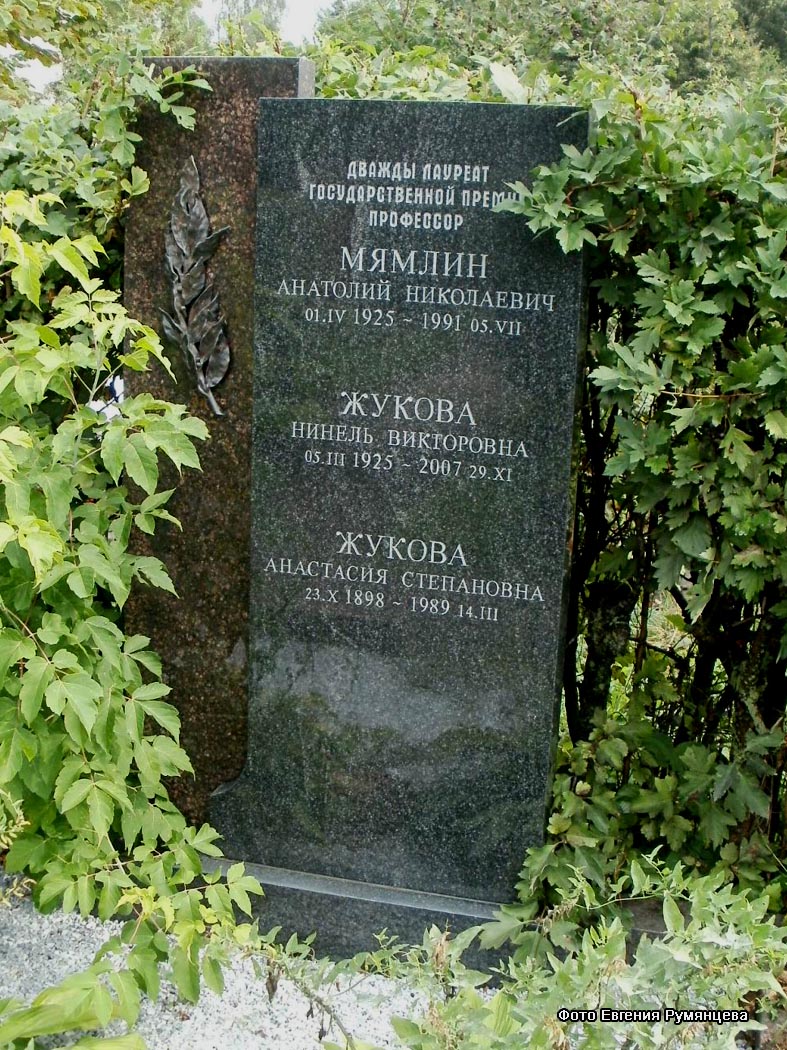 г. Москва, Троекуровское кладбище (уч. № 2), могила А.Н. Мямлина (сентябрь 2011 года)