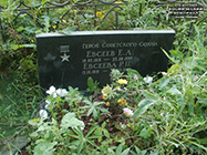 (увеличить фото) г. Москва, кладбище "Ракитки" (уч. № 9). Надгробие на могилах Е.А. Евсеева и его супруги (август 2017 года)
