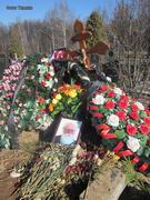 (увеличить фото) г. Москва,  Троекуровское кладбище (уч. № 4), могила А.А. Логунова после похорон (вид 1, март 2015 года)