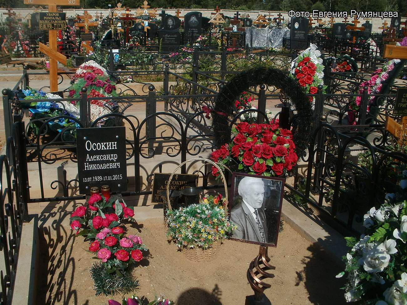 г. Москва, Николо-Хованское кладбище (уч. № 2-о), могила А.Н. Осокина (вид 1, июль 2015 года)
