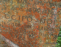 г. Москва, Донское кладбище (участок около Общей могилы № 3), место захоронения урны с прахом Г.Н. Остроумова (фрагмент надгробия, август 2014 года)