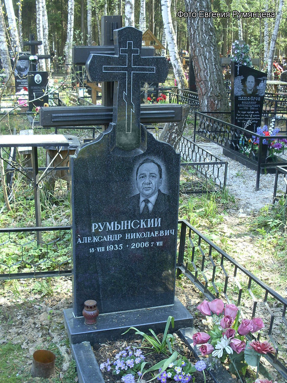Московская область, Пушкинский район, Невзоровское кладбище (Аллея Почётных захоронений). Надгробие на могиле А.Н. Румынского (май 2010 года)