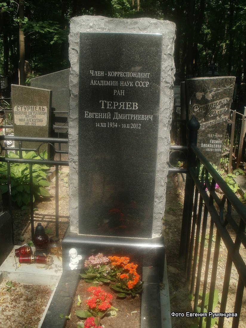 г. Москва, Введенское кладбище (уч. № 8), могила Е.Д. Теряева после установки надгробия (июнь 2014 года)